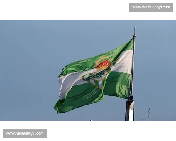 贝尼托・比利亚马林球场改造暂停护雨燕：生态保护与体育建设的平衡之道